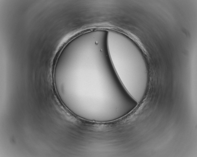 X0000111191176200907011003