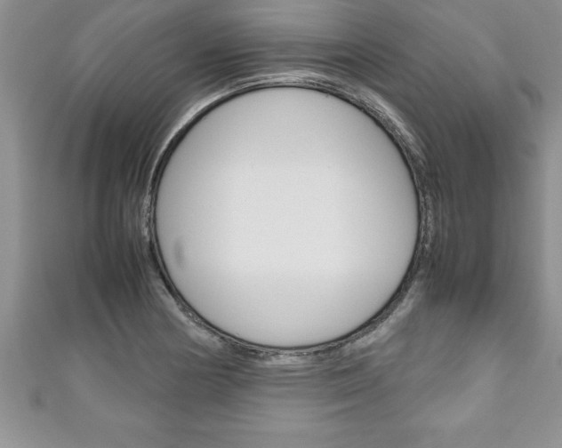 X0000111191178200907011003