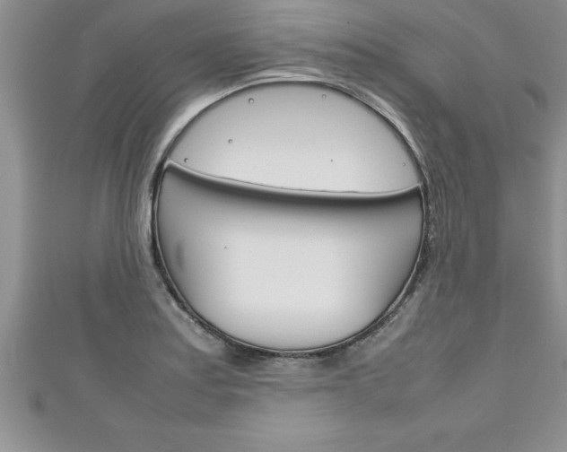 X0000111191179200907011003
