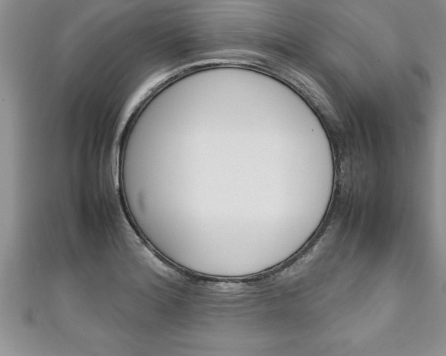 X0000111191180200907011003