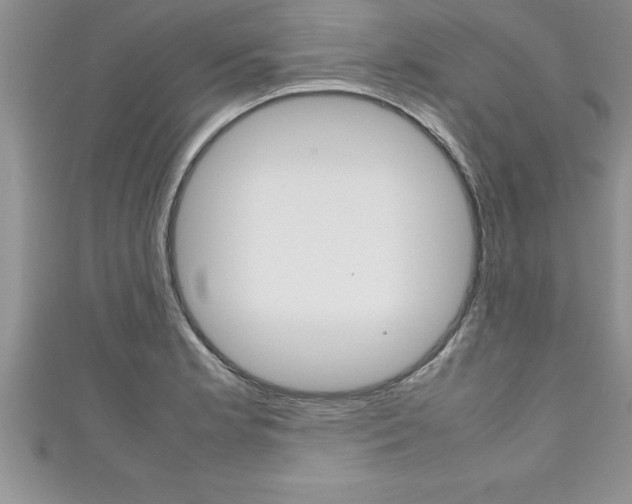 X0000111191181200907011003