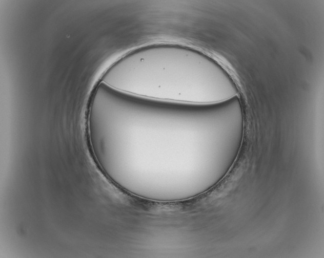 X0000111191183200907011003