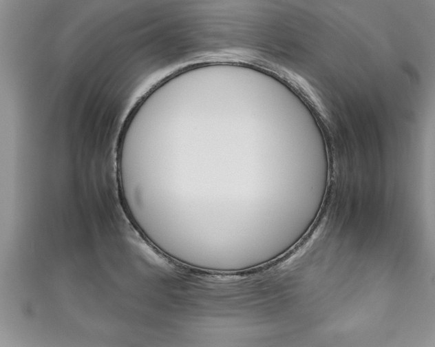 X0000111191184200907011003