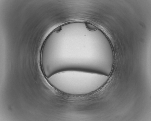 X0000111191187200907011003
