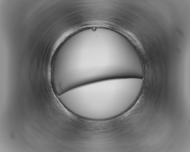 X0000111191188200907011003