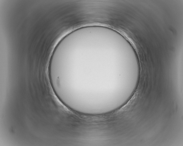 X0000111191189200907011003