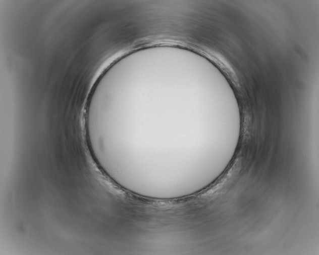 X0000111191190200907011003