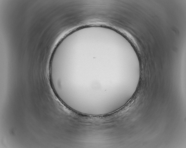 X0000111191191200907011003