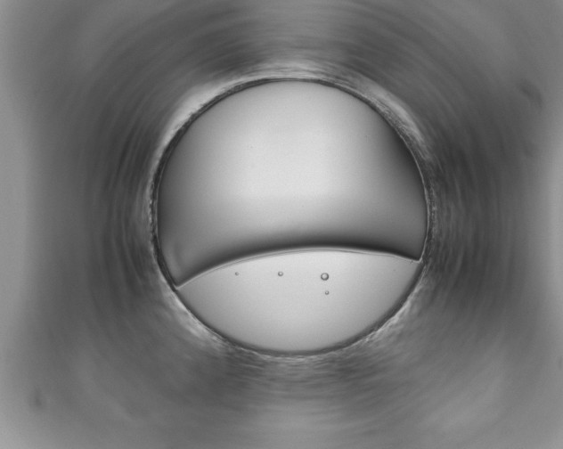 X0000111191192200907011003