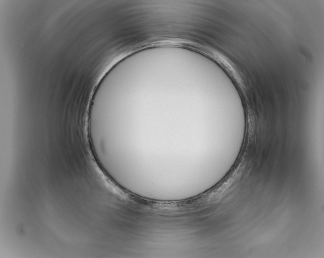 X0000111191194200907011003