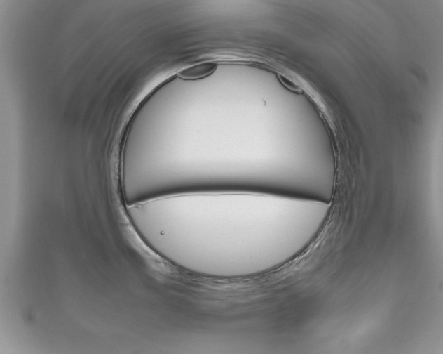 X0000111191195200907011003
