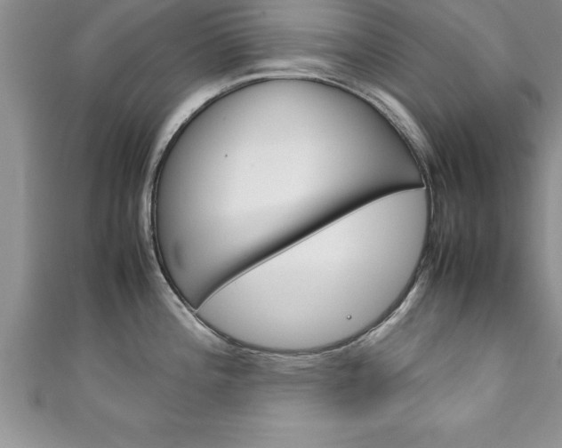 X0000111191196200907011003