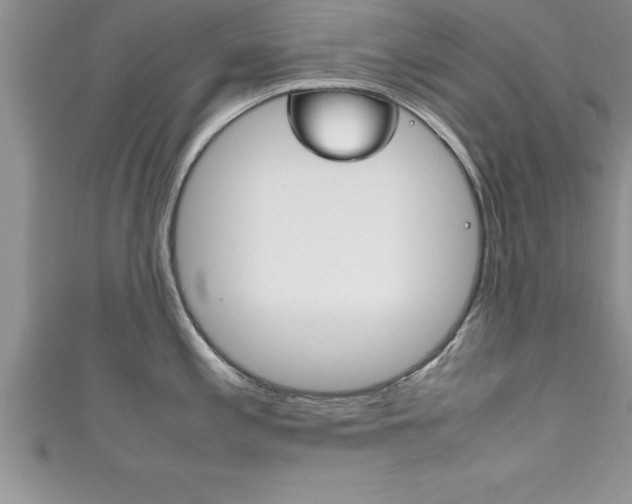 X0000111191197200907011003