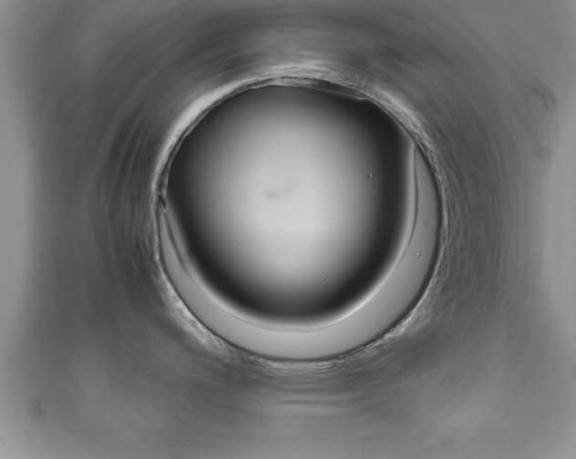 X0000111191200200907011002