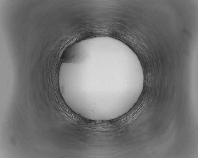 X0000111191201200907011002