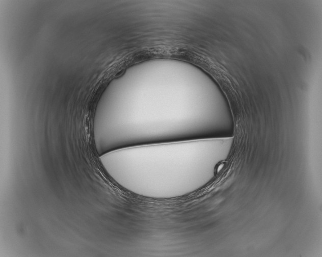 X0000111191202200907011002