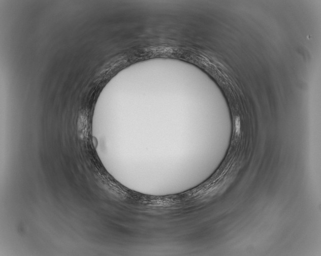 X0000111191203200907011002