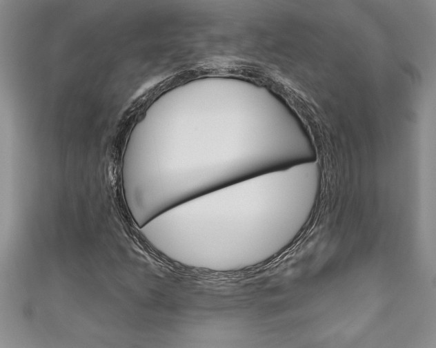 X0000111191206200907011002