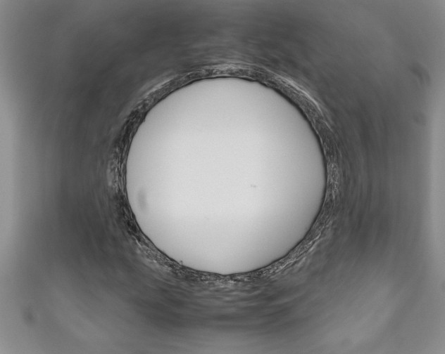 X0000111191207200907011002