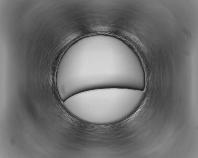 X0000111191209200907011002