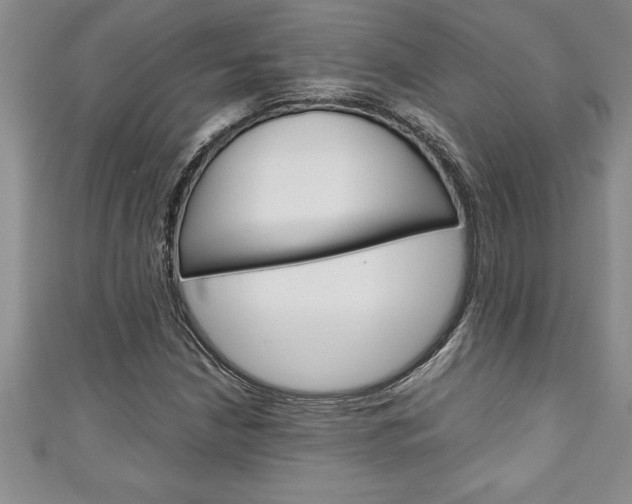 X0000111191210200907011002
