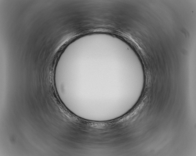 X0000111191211200907011002