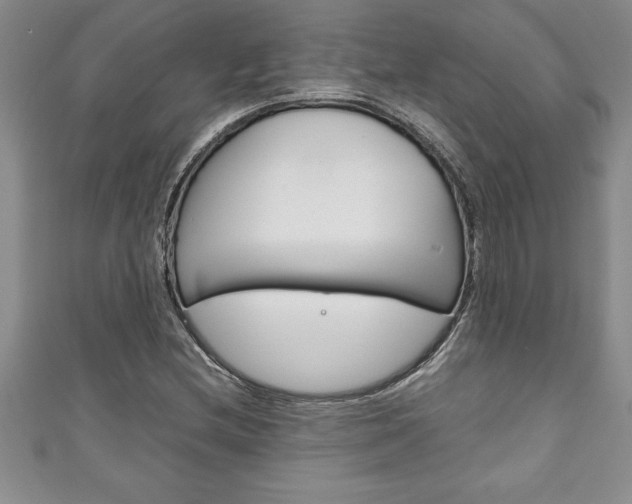 X0000111191212200907011002