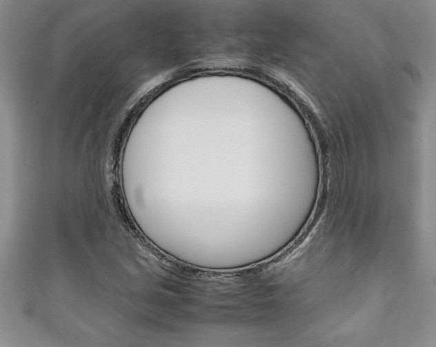 X0000111191213200907011002