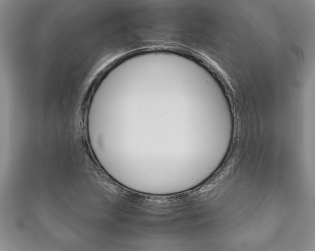 X0000111191215200907011002