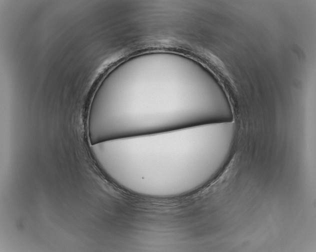 X0000111191218200907011002