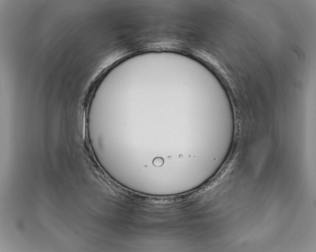 X0000111191219200907011002