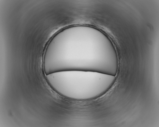 X0000111191220200907011002