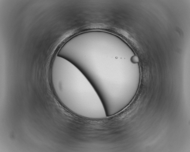 X0000111191221200907011002