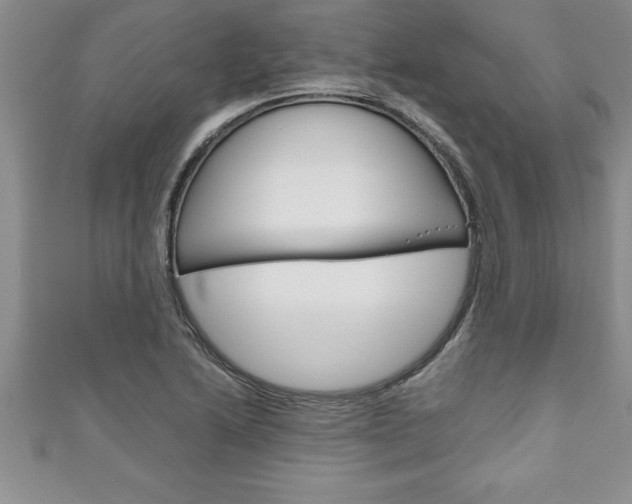 X0000111191222200907011002