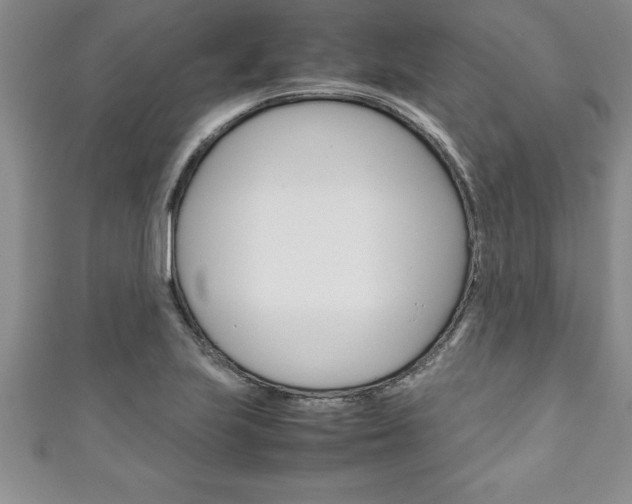 X0000111191223200907011002