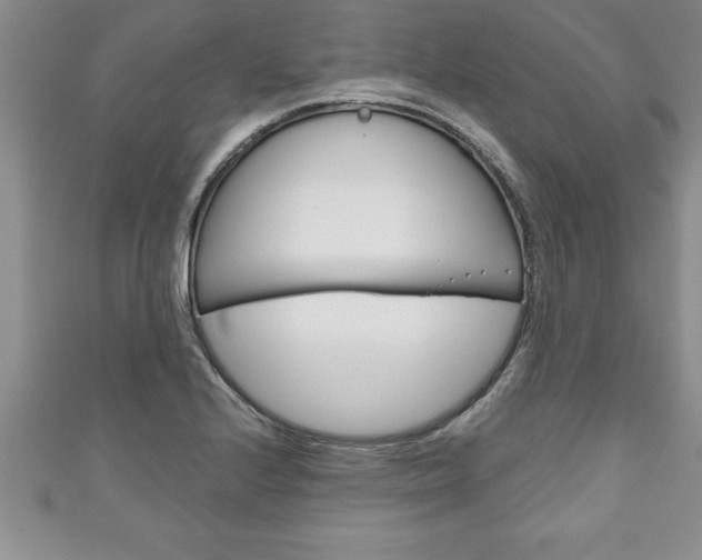 X0000111191224200907011002