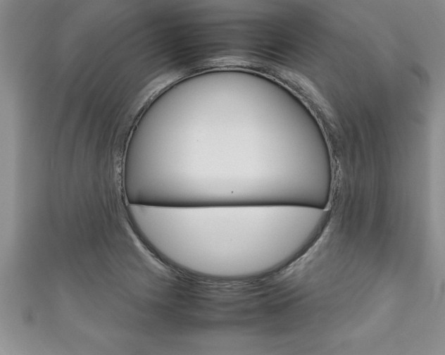 X0000111191225200907011002