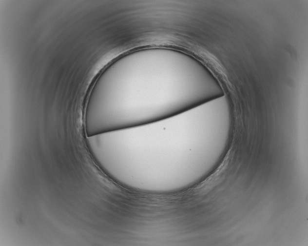 X0000111191226200907011002