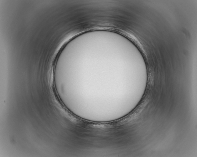 X0000111191227200907011002