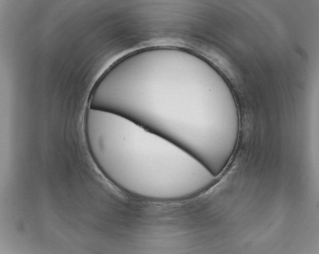 X0000111191228200907011002