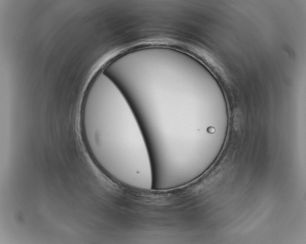X0000111191229200907011002