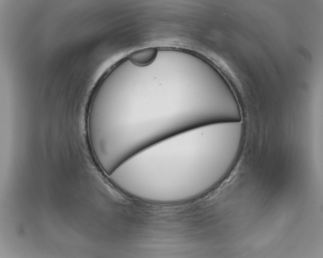 X0000111191230200907011002