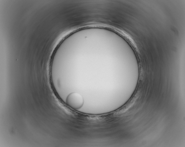 X0000111191231200907011002