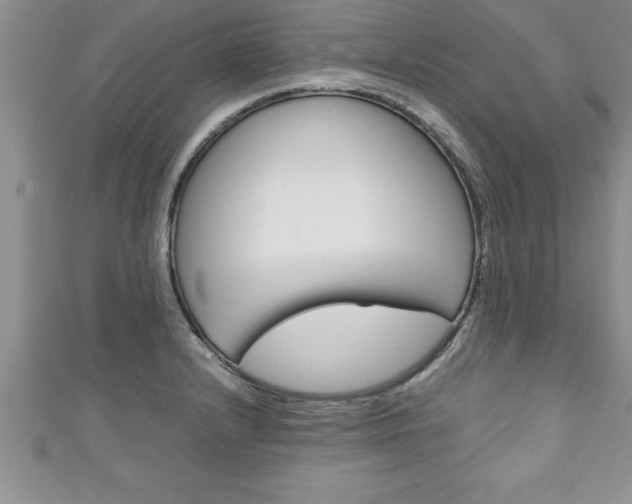 X0000111191232200907011002