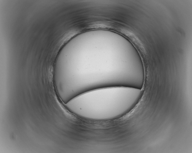 X0000111191233200907011002