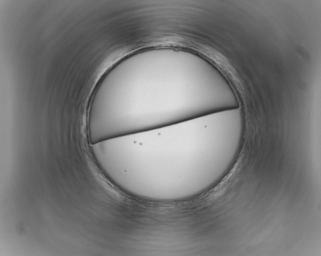 X0000111191234200907011002