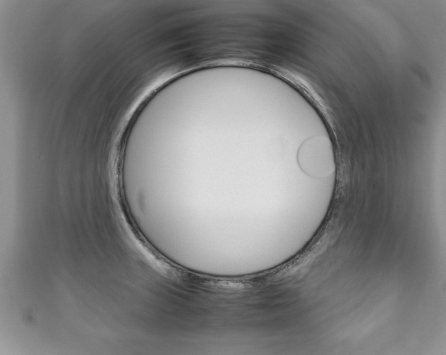 X0000111191235200907011002