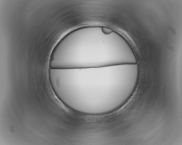 X0000111191236200907011002