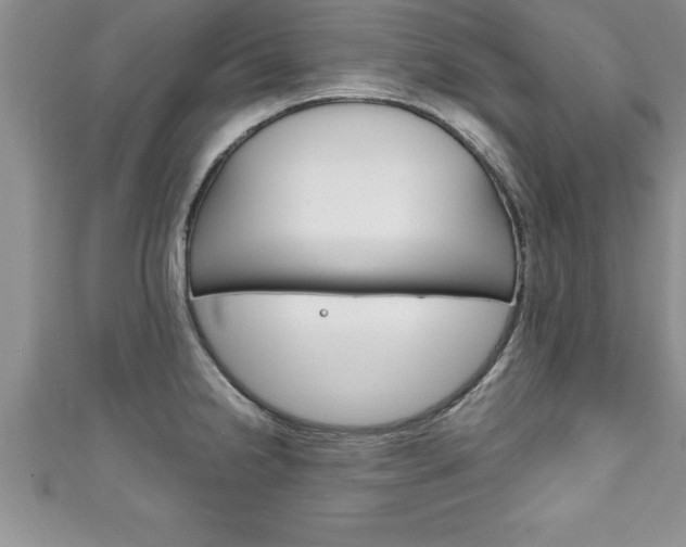 X0000111191238200907011002