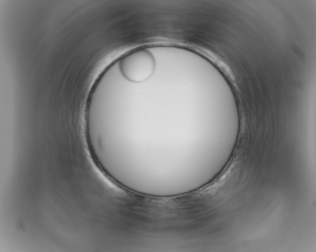 X0000111191239200907011002